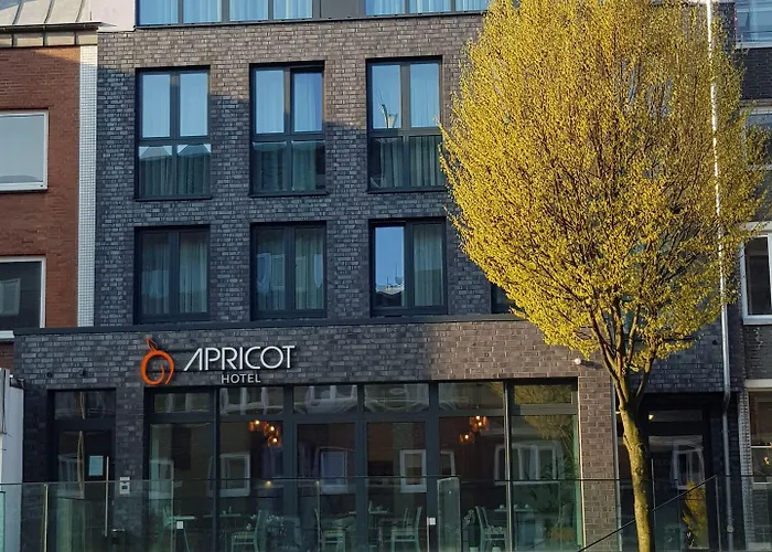Hotel Apricot